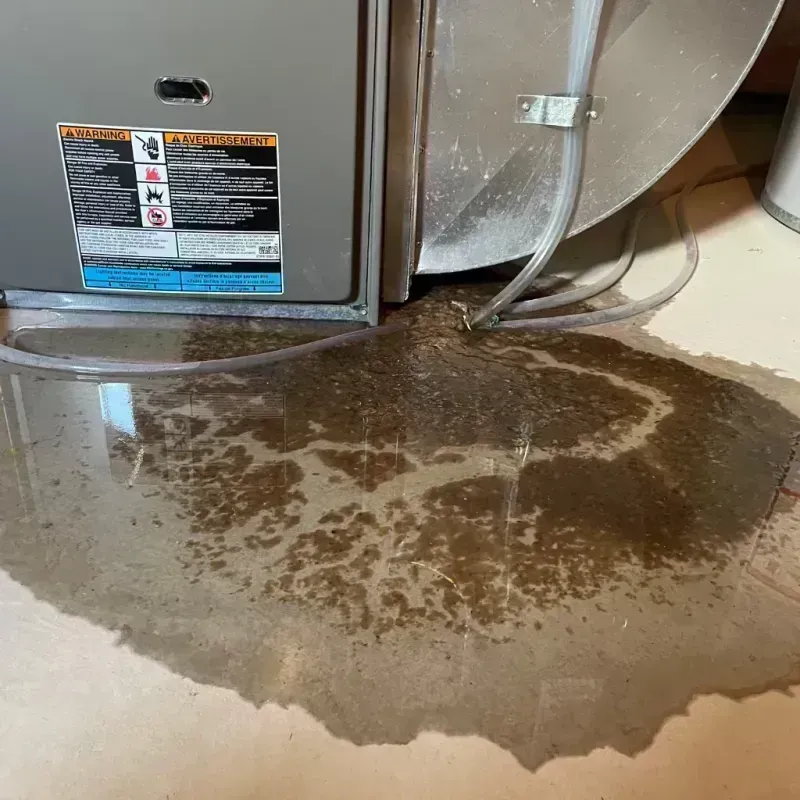 Appliance Leak Cleanup in Scott Air Force Base, IL